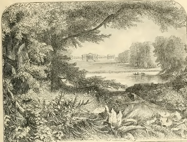 Стоу Парк (Stowe Park) Стоу Парк (Stowe Park)